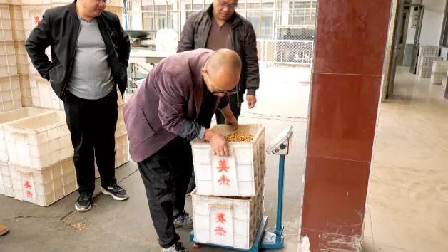 邯郸:涉县石门供销社保底收购助农增收